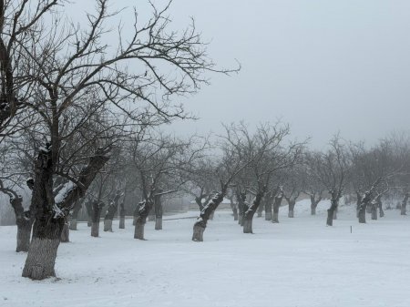  Qarlı Şuşadan YENİ FOTOLAR.