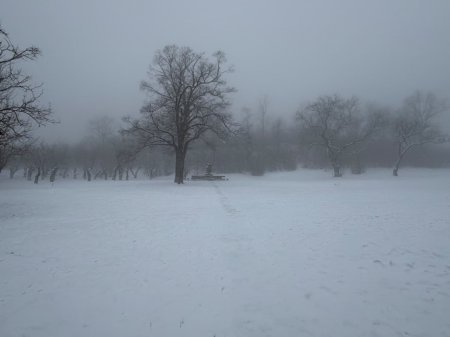  Qarlı Şuşadan YENİ FOTOLAR.