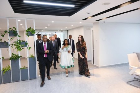 Leyla Əliyeva Əddis-Əbəbədə "MESOB" dövlət xidməti mərkəzində olub