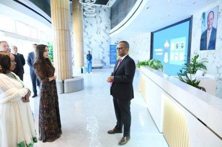 Leyla Əliyeva Əddis-Əbəbədə "MESOB" dövlət xidməti mərkəzində olub