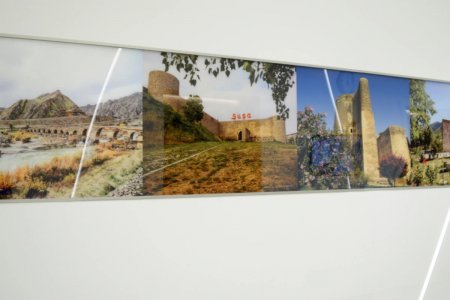 Leyla Əliyeva Cenevrədə BMT-nin “Azərbaycan otağı” ilə tanış olub