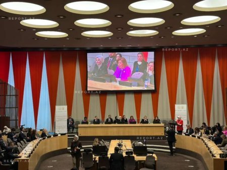 BMT-nin iclasında qadınların zorakılıqdan müdafiəsi ilə bağlı Azərbaycanın təcrübəsi bölüşülüb