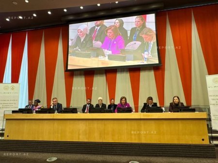 BMT-nin iclasında qadınların zorakılıqdan müdafiəsi ilə bağlı Azərbaycanın təcrübəsi bölüşülüb