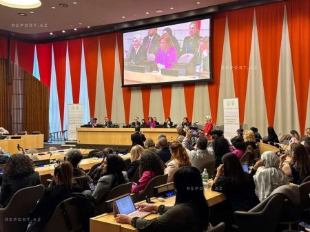 BMT-nin iclasında qadınların zorakılıqdan müdafiəsi ilə bağlı Azərbaycanın təcrübəsi bölüşülüb