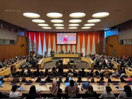 BMT-nin iclasında qadınların zorakılıqdan müdafiəsi ilə bağlı Azərbaycanın təcrübəsi bölüşülüb