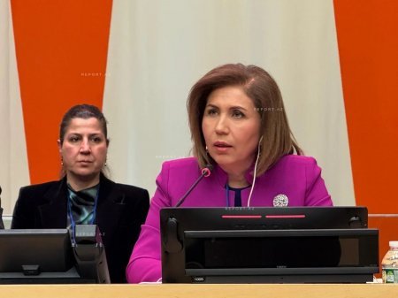 BMT-nin iclasında qadınların zorakılıqdan müdafiəsi ilə bağlı Azərbaycanın təcrübəsi bölüşülüb