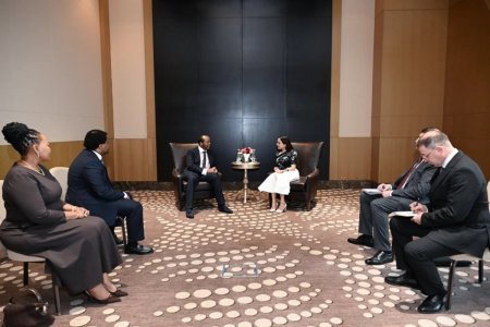 Leyla Əliyeva Esvatini Kralı ilə görüşüb