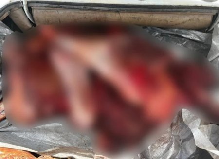 Füzulidə istehlaka yararsız 120 kiloqram ət aşkarlanıb
