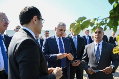 Prezident Administrasiyasının və Əlaqələndirmə Qərargahının üzvləri Ağdərə və Xocalıya səfər edib