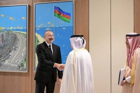Prezident İlham Əliyev Ərəb Koordinasiya Qrupunun nümayəndə heyətini qəbul edib